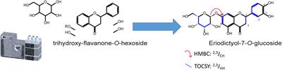 On the part that NMR should play in mass spectrometry metabolomics in natural products studies